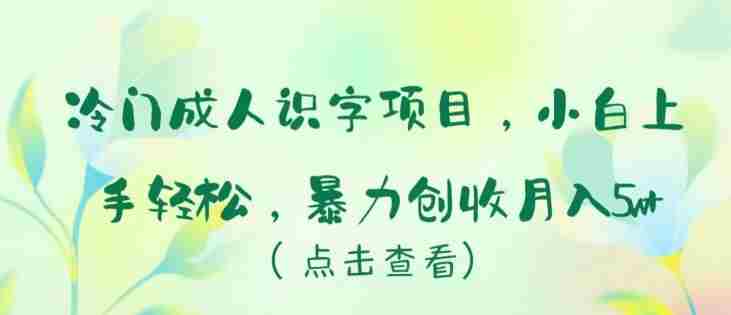 冷门成人识字项目，小白上手轻松，暴力创收月入5w+【揭秘】