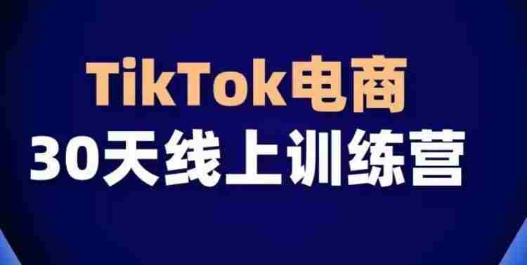 TikTok电商带货30天线上课，不可错过的全球流量洼地！
