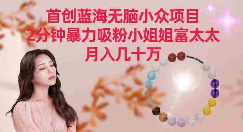 首创蓝海无脑小众项目，2分钟暴力吸粉小姐姐富太太，月入几十万【揭秘】