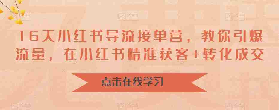 16天小红书导流接单营，教你引爆流量，在小红书精准获客+转化成交
