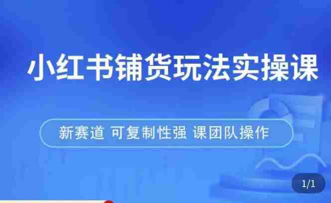 小红书铺货玩法实操课，流量大，竞争小，非常好做，新赛道，可复制性强，可团队操作