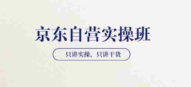 【京东自营实操班】只讲实操，只讲干货（28小时课程-共2期）价值4980