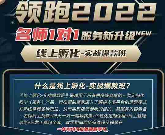 牛气学堂老陶电商【第9期】，拼多多名师线上领跑28天，线上孵化-实战爆款班