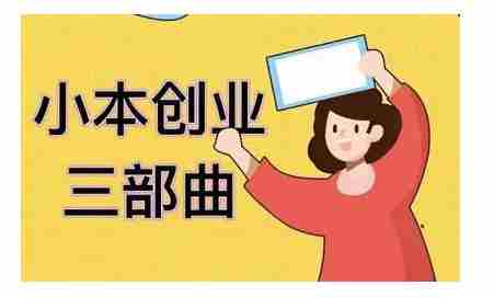 老严小本创业三部曲，线下创业项目，不讲废话，都是核心干货内容