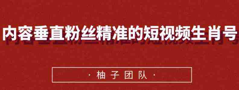 内容垂直粉丝精准的短视频生肖号，小众领域简单操作月入10000+【视频课程】